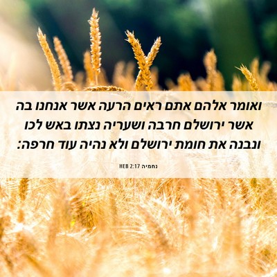 Picture 06 - נחמיה 2:17 HEB - ואומר אלהם אתם ראים הרעה - Bible Verse Picture
