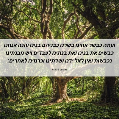 Picture 06 - נחמיה 5:5 HEB - ועתה כבשר אחינו בשרנו - Bible Verse Picture