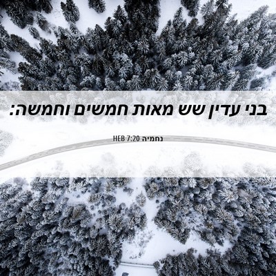 Picture 06 - נחמיה 7:20 HEB - בני עדין שש מאות חמשים - Bible Verse Picture