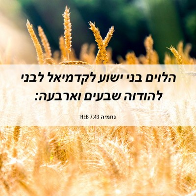 Picture 06 - נחמיה 7:43 HEB - הלוים בני ישוע לקדמיאל - Bible Verse Picture