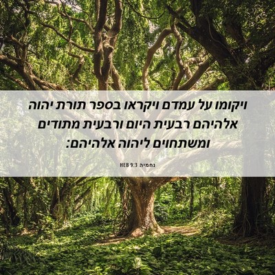 Picture 06 - נחמיה 9:3 HEB - ויקומו על עמדם ויקראו בספר - Bible Verse Picture