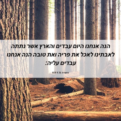 Picture 06 - נחמיה 9:36 HEB - הנה אנחנו היום עבדים והארץ - Bible Verse Picture