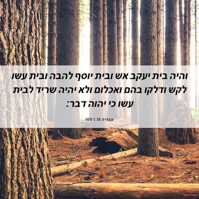 Picture 06 - עבדיה 1:18 HEB - והיה בית יעקב אש ובית יוסף - Bible Verse Picture