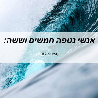 Picture 06 - עזרא 2:22 HEB - אנשי נטפה חמשים - Bible Verse Picture
