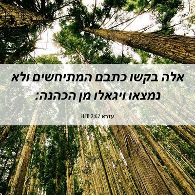 Picture 06 - עזרא 2:62 HEB - אלה בקשו כתבם המתיחשים ולא - Bible Verse Picture