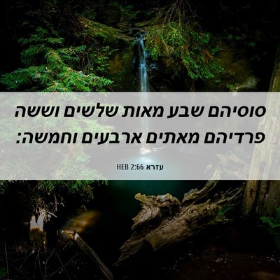 Picture 06 - עזרא 2:66 HEB - סוסיהם שבע מאות שלשים וששה - Bible Verse Picture