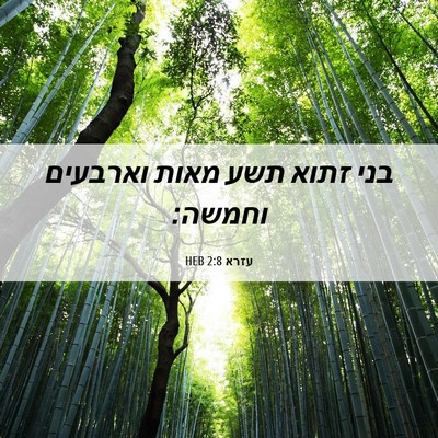 Picture 06 - עזרא 2:8 HEB - בני זתוא תשע מאות וארבעים - Bible Verse Picture