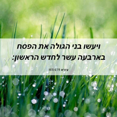 Picture 06 - עזרא 6:19 HEB - ויעשו בני הגולה את הפסח - Bible Verse Picture