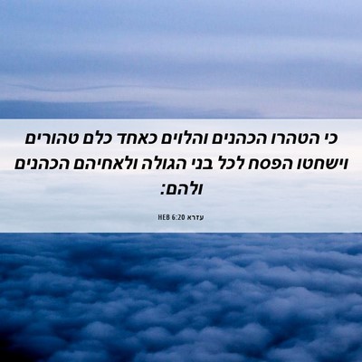 Picture 06 - עזרא 6:20 HEB - כי הטהרו הכהנים והלוים - Bible Verse Picture