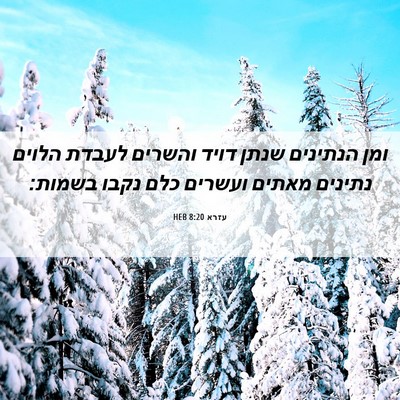Picture 06 - עזרא 8:20 HEB - ומן הנתינים שנתן דויד - Bible Verse Picture