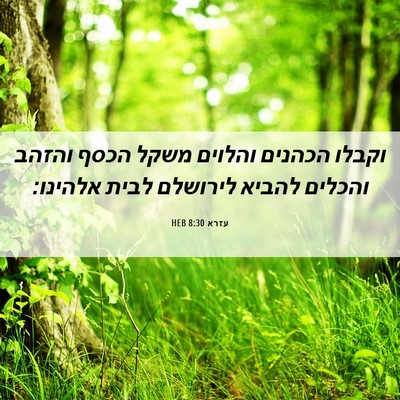 Picture 06 - עזרא 8:30 HEB - וקבלו הכהנים והלוים משקל - Bible Verse Picture