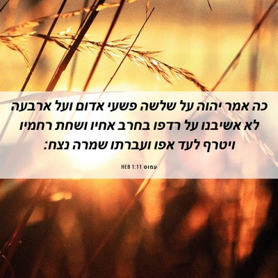 Picture 06 - עמוס 1:11 HEB - כה אמר יהוה על שלשה פשעי - Bible Verse Picture