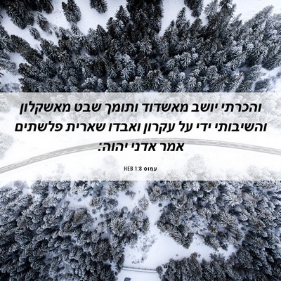 Picture 06 - עמוס 1:8 HEB - והכרתי יושב מאשדוד ותומך - Bible Verse Picture