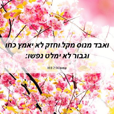 Picture 06 - עמוס 2:14 HEB - ואבד מנוס מקל וחזק לא יאמץ - Bible Verse Picture