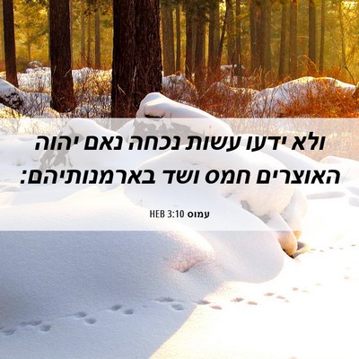 Picture 06 - עמוס 3:10 HEB - ולא ידעו עשות נכחה נאם יהוה - Bible Verse Picture