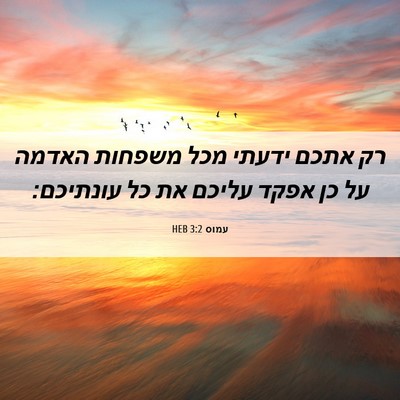 Picture 06 - עמוס 3:2 HEB - רק אתכם ידעתי מכל משפחות - Bible Verse Picture