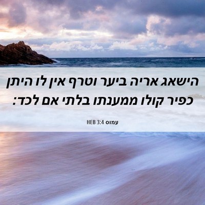 Picture 06 - עמוס 3:4 HEB - הישאג אריה ביער וטרף אין לו - Bible Verse Picture