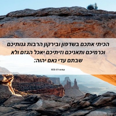 Picture 06 - עמוס 4:9 HEB - הכיתי אתכם בשדפון ובירקון - Bible Verse Picture