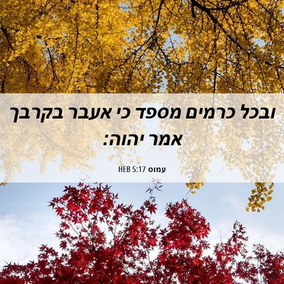 Picture 06 - עמוס 5:17 HEB - ובכל כרמים מספד כי אעבר - Bible Verse Picture