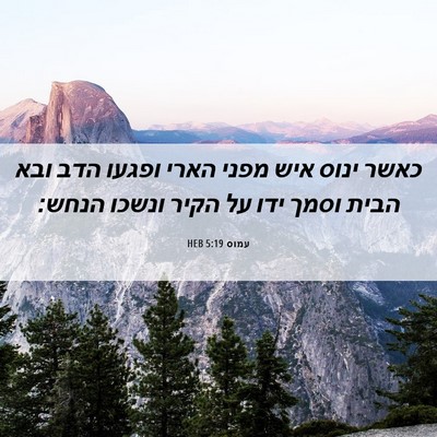 Picture 06 - עמוס 5:19 HEB - כאשר ינוס איש מפני הארי - Bible Verse Picture