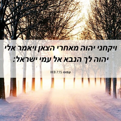 Picture 06 - עמוס 7:15 HEB - ויקחני יהוה מאחרי הצאן - Bible Verse Picture