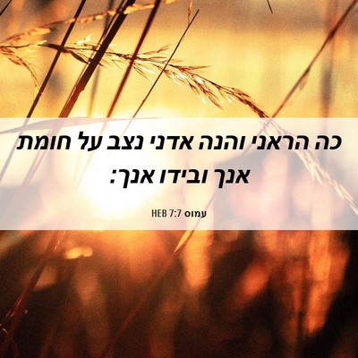 Picture 06 - עמוס 7:7 HEB - כה הראני והנה אדני נצב על - Bible Verse Picture