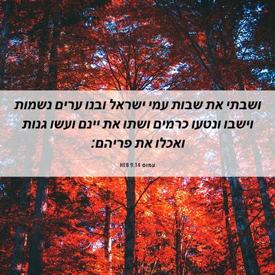 Picture 06 - עמוס 9:14 HEB - ושבתי את שבות עמי ישראל - Bible Verse Picture