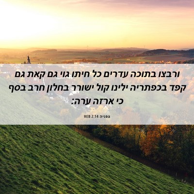 Picture 06 - צפניה 2:14 HEB - ורבצו בתוכה עדרים כל חיתו - Bible Verse Picture