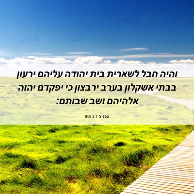 Picture 06 - צפניה 2:7 HEB - והיה חבל לשארית בית יהודה - Bible Verse Picture