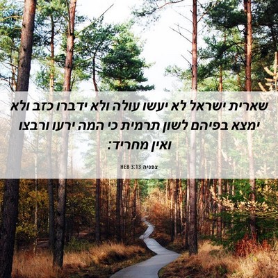 Picture 06 - צפניה 3:13 HEB - שארית ישראל לא יעשו עולה - Bible Verse Picture