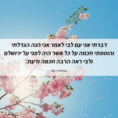 Picture 06 - קהלת 1:16 HEB - דברתי אני עם לבי לאמר אני - Bible Verse Picture