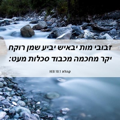 Picture 06 - קהלת 10:1 HEB - זבובי מות יבאיש יביע שמן - Bible Verse Picture