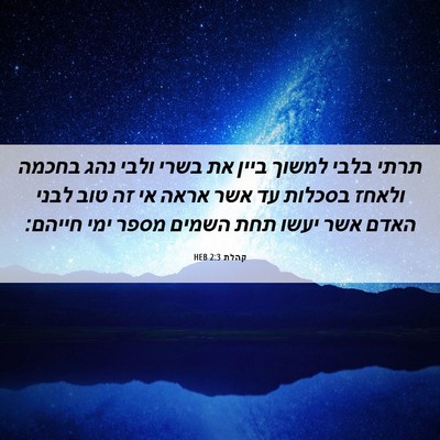 Picture 06 - קהלת 2:3 HEB - תרתי בלבי למשוך ביין את - Bible Verse Picture