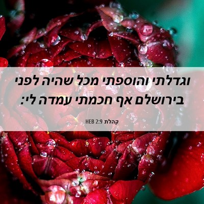 Picture 06 - קהלת 2:9 HEB - וגדלתי והוספתי מכל שהיה - Bible Verse Picture