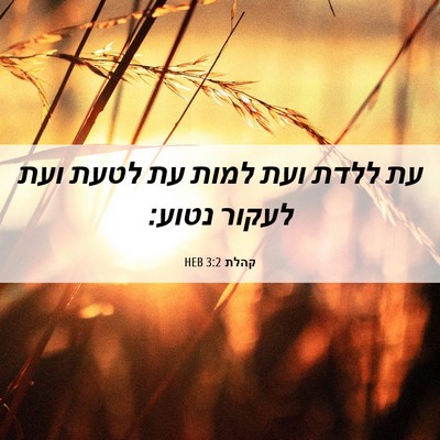 Picture 06 - קהלת 3:2 HEB - עת ללדת ועת למות עת לטעת - Bible Verse Picture