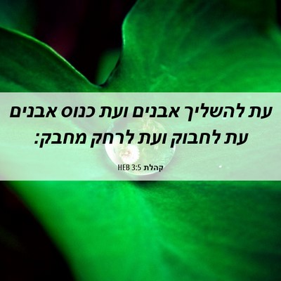 Picture 06 - קהלת 3:5 HEB - עת להשליך אבנים ועת כנוס - Bible Verse Picture