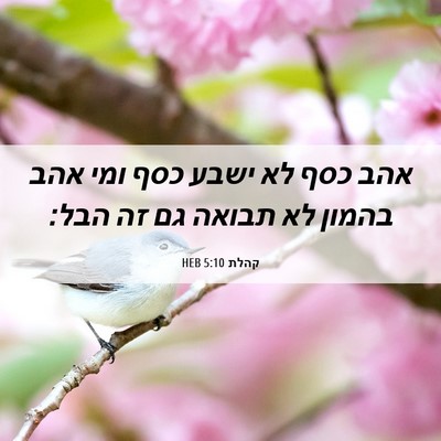 Picture 06 - קהלת 5:10 HEB - אהב כסף לא ישבע כסף ומי אהב - Bible Verse Picture