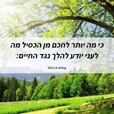 Picture 06 - קהלת 6:8 HEB - כי מה יותר לחכם מן הכסיל מה - Bible Verse Picture