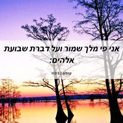 Picture 06 - קהלת 8:2 HEB - אני פי מלך שמור ועל דברת - Bible Verse Picture
