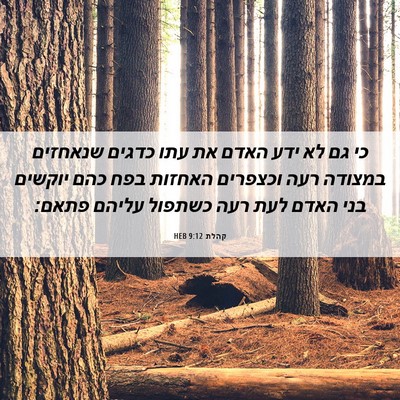 Picture 06 - קהלת 9:12 HEB - כי גם לא ידע האדם את עתו - Bible Verse Picture