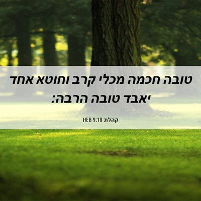Picture 06 - קהלת 9:18 HEB - טובה חכמה מכלי קרב וחוטא - Bible Verse Picture