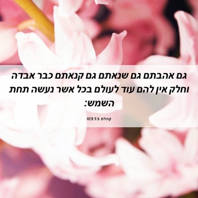 Picture 06 - קהלת 9:6 HEB - גם אהבתם גם שנאתם גם קנאתם - Bible Verse Picture