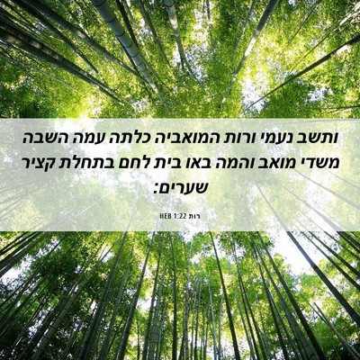 Picture 06 - רות 1:22 HEB - ותשב נעמי ורות המואביה - Bible Verse Picture