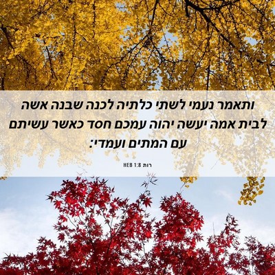 Picture 06 - רות 1:8 HEB - ותאמר נעמי לשתי כלתיה לכנה - Bible Verse Picture