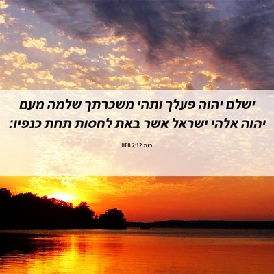 Picture 06 - רות 2:12 HEB - ישלם יהוה פעלך ותהי משכרתך - Bible Verse Picture