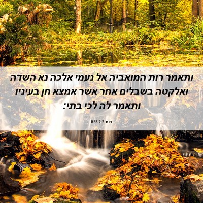Picture 06 - רות 2:2 HEB - ותאמר רות המואביה אל נעמי - Bible Verse Picture