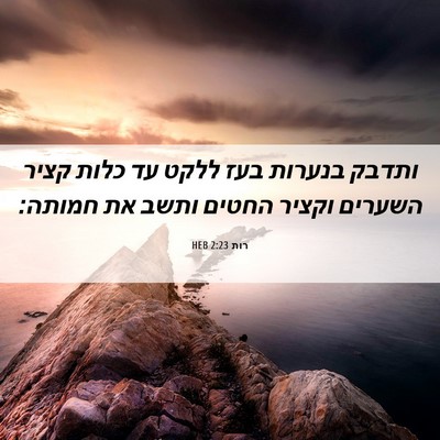 Picture 06 - רות 2:23 HEB - ותדבק בנערות בעז ללקט עד - Bible Verse Picture