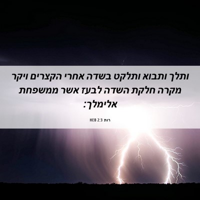 Picture 06 - רות 2:3 HEB - ותלך ותבוא ותלקט בשדה אחרי - Bible Verse Picture