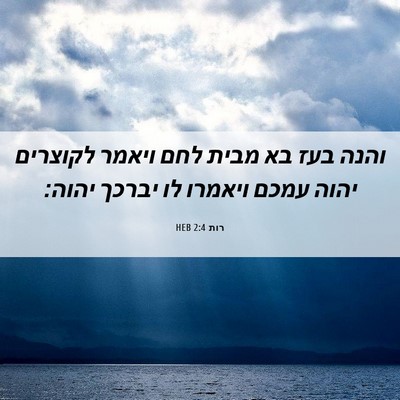 Picture 06 - רות 2:4 HEB - והנה בעז בא מבית לחם ויאמר - Bible Verse Picture