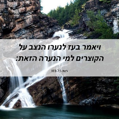 Picture 06 - רות 2:5 HEB - ויאמר בעז לנערו הנצב על - Bible Verse Picture